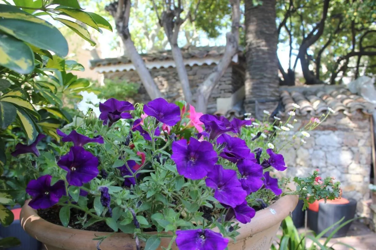 Hotel Les Palmiers Saint-Tropez